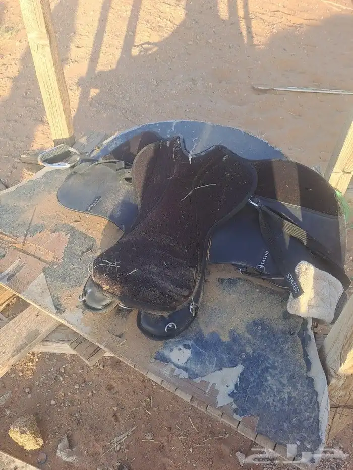 سرج خيل 2
