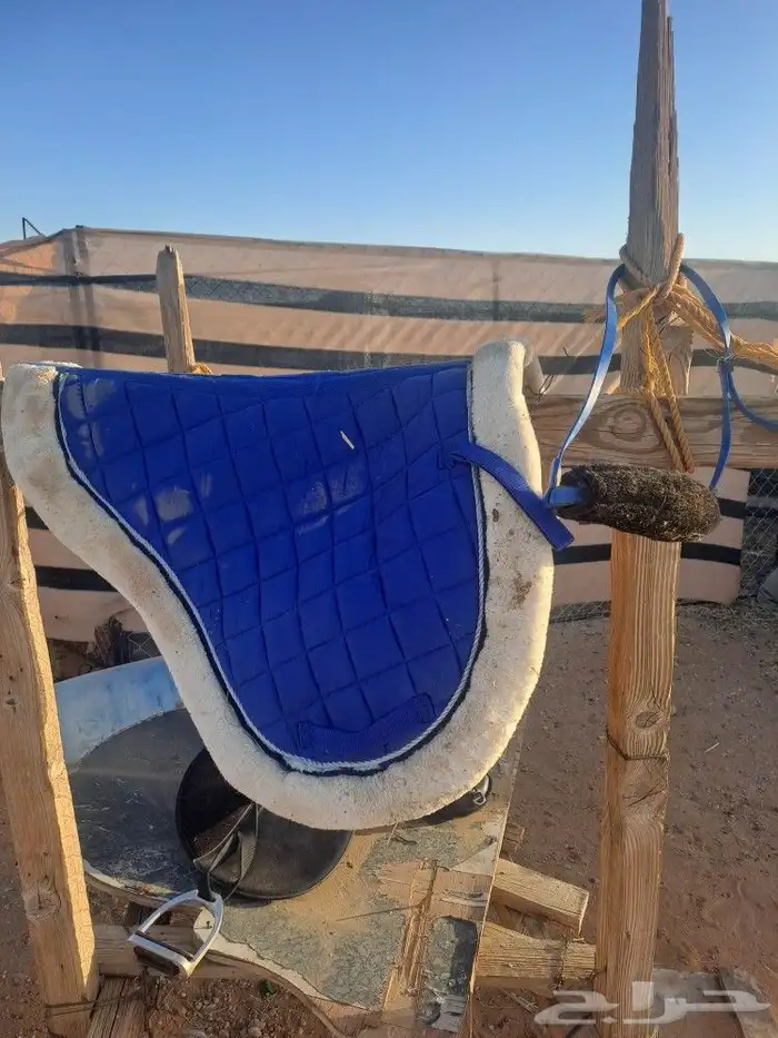 سرج خيل 1
