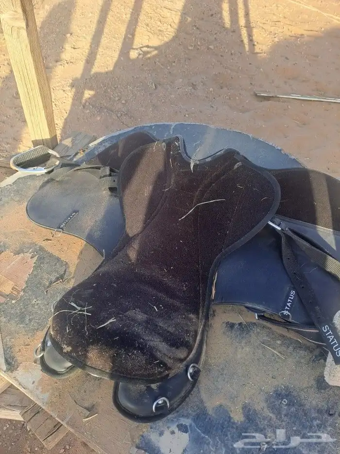 سرج خيل 0