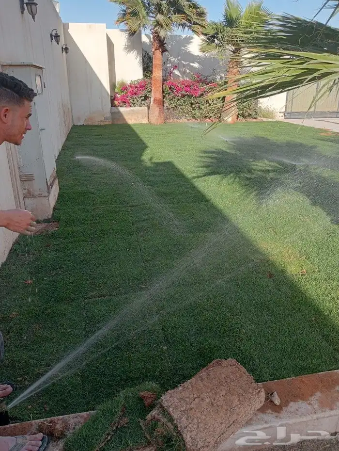 ثيل سئ 2000صافي وطبيعي الموقع الخرج 2
