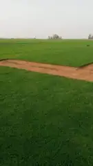 تنسيق حدائق 14