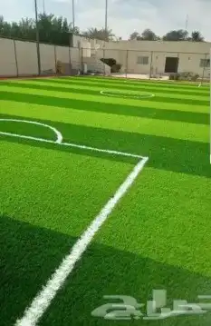 تنسيق حدائق ملاعب 9