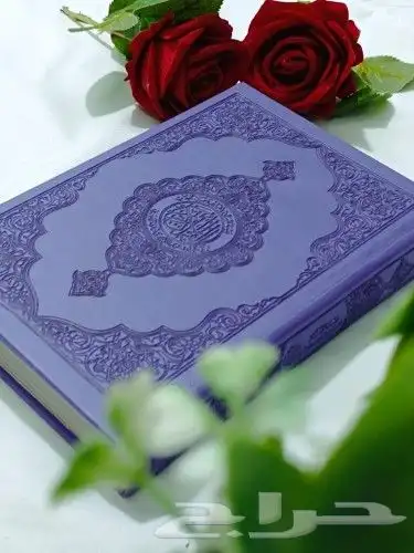 مصاحف جلد ومخمل وسجادات 1