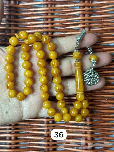 سبح بكلايت بلجيكي 22