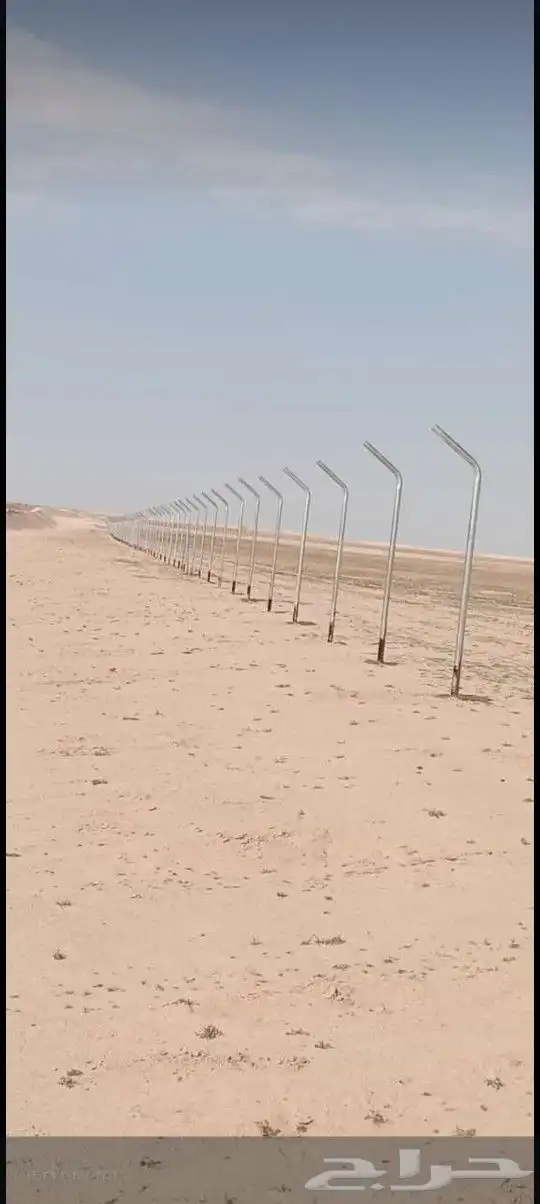 تركيب شبوك ونخيل جميع انواعه 2