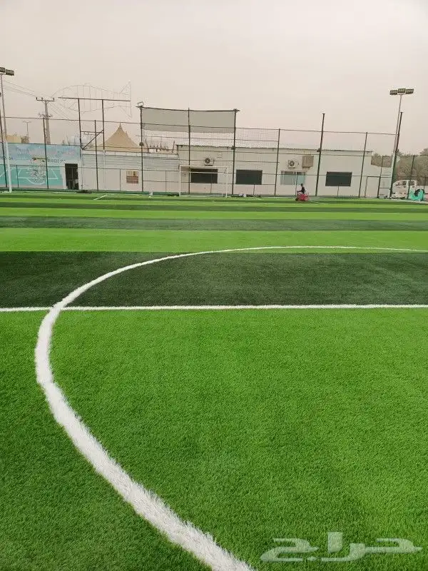 تنسيق حدائق ملاعب 3