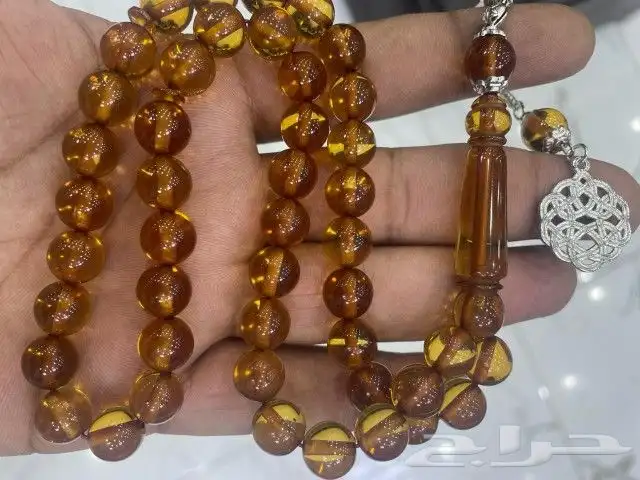 سبح بكلايت بلجيكي 16