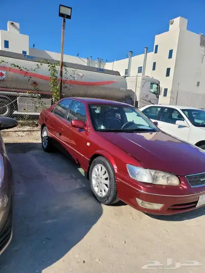 القطيف 2