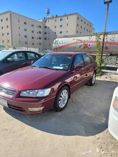 القطيف 1