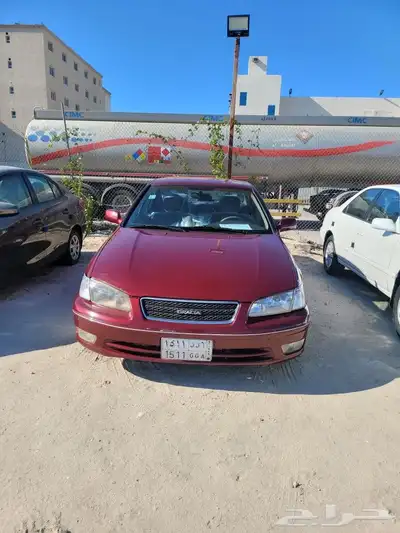 القطيف 0