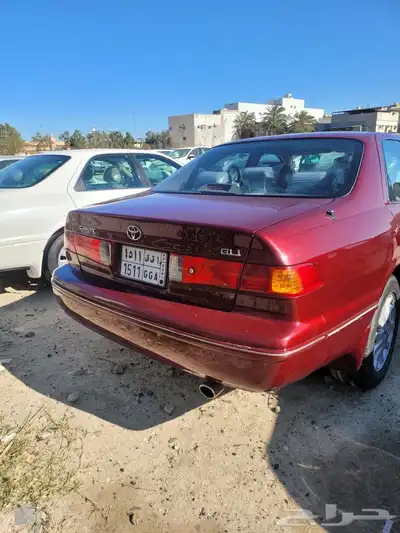 القطيف 3