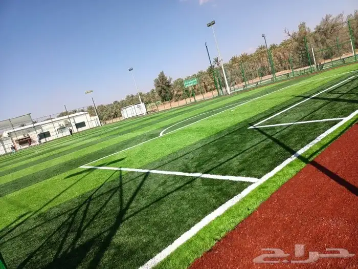 تنسيق حدائق ملاعب 4