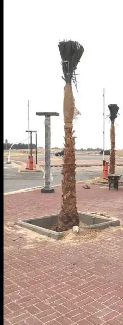 مقاول نخيل الجله تبراك ضرما المزاحميه القرنه القويعية الخرج 2