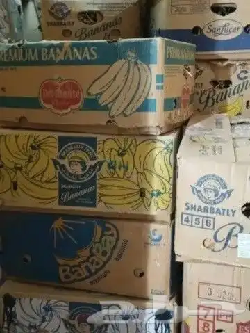 لقاح ناشف 1