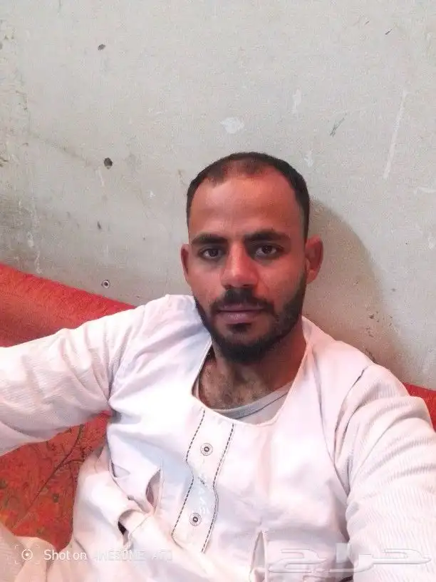 جزار اضاحى 0