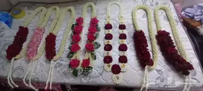فل صبيا  جيزانيات_جيزانيه_جازان_ابوعريش__صامطة_صامطه_الطوال 1