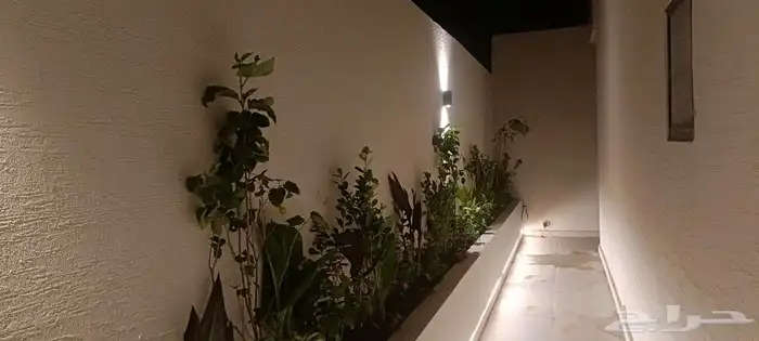 مهندس أبو سجى 1