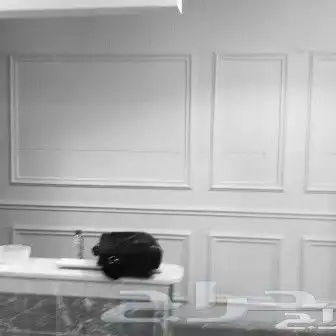 جبس بورد وعازل صوت وديكورات 18