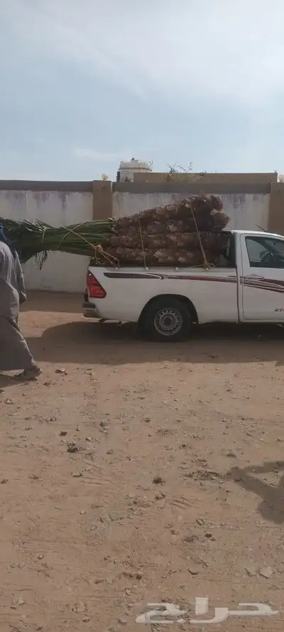 يوجد لدينا جميع انواع انخيل 6