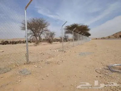 نحن نقوم بتوريد وتركيب جميع انواع الشبوك السياج الحديدي 4