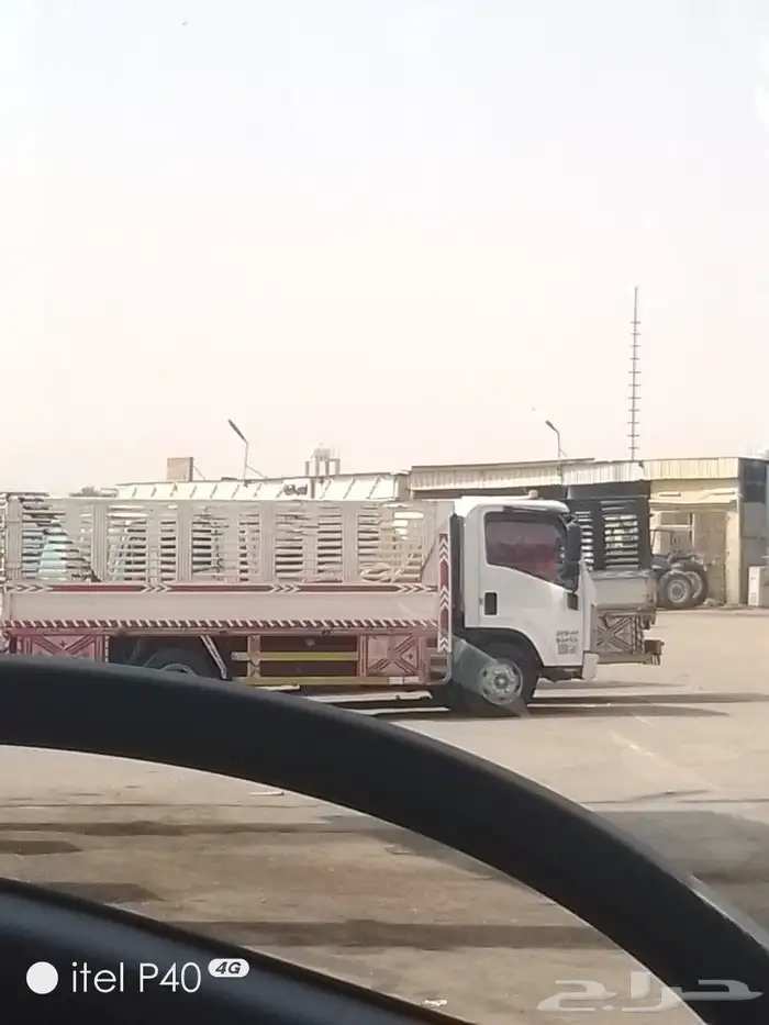 دينا وادى الدواسر 0