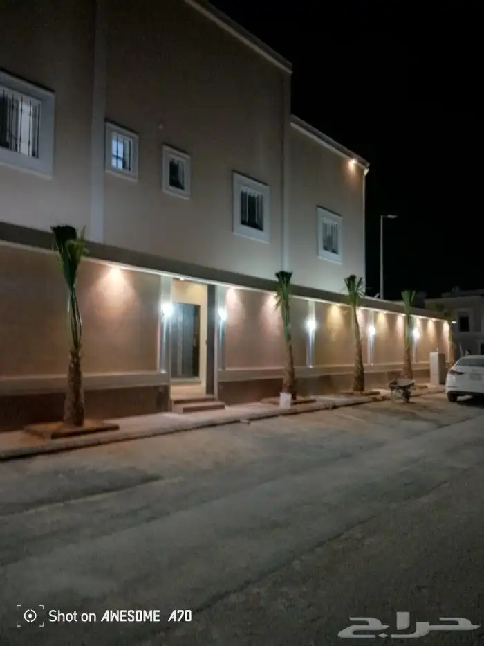 توريد وغرس انخيل بجميع انواعها. واشنطني عربي جميانواع انخيل 5