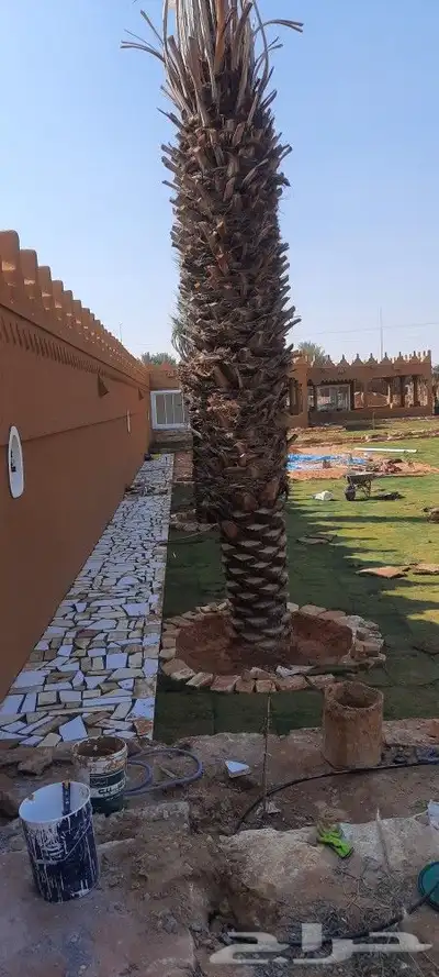 فنون واصاله التراث القديمه بنيان وتليوس واسقف الخشب والجريد 5