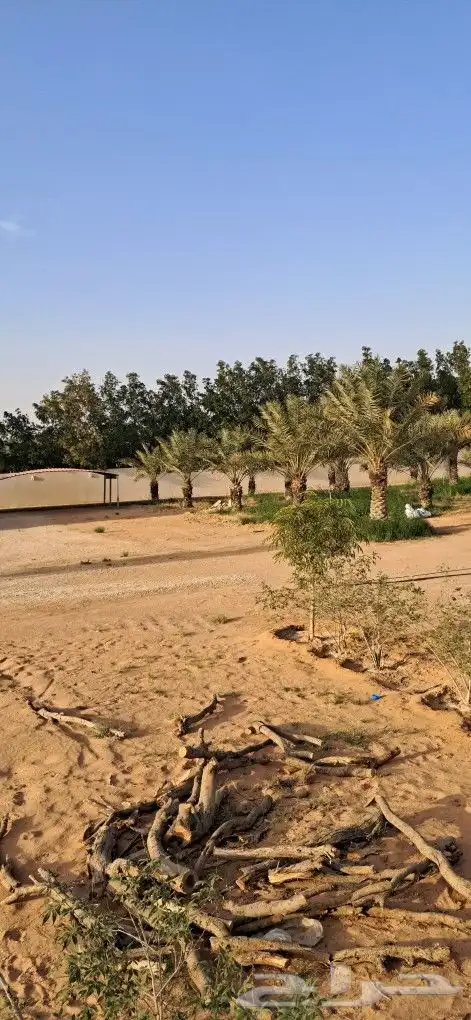 استراحة للايجار اليومي 20