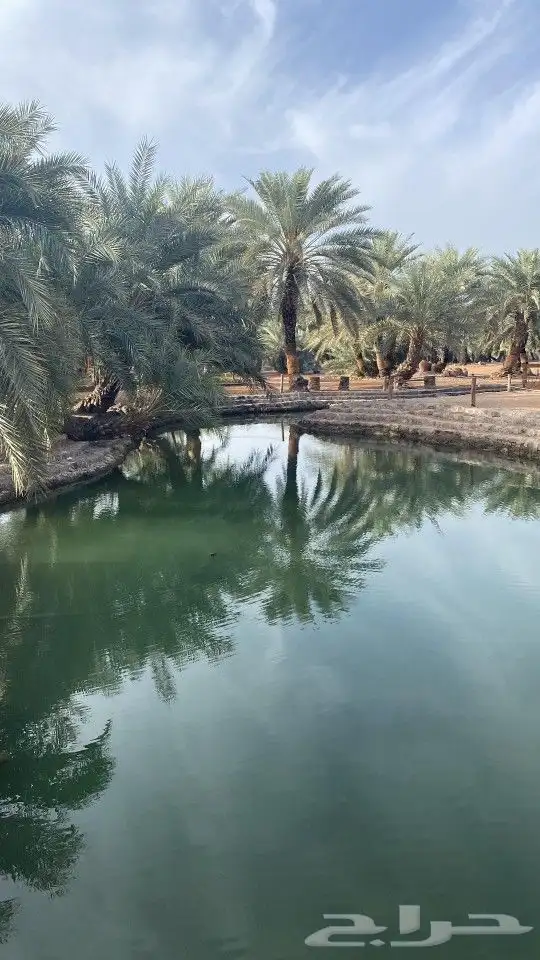 قهوة سعودية مخصوصه 3