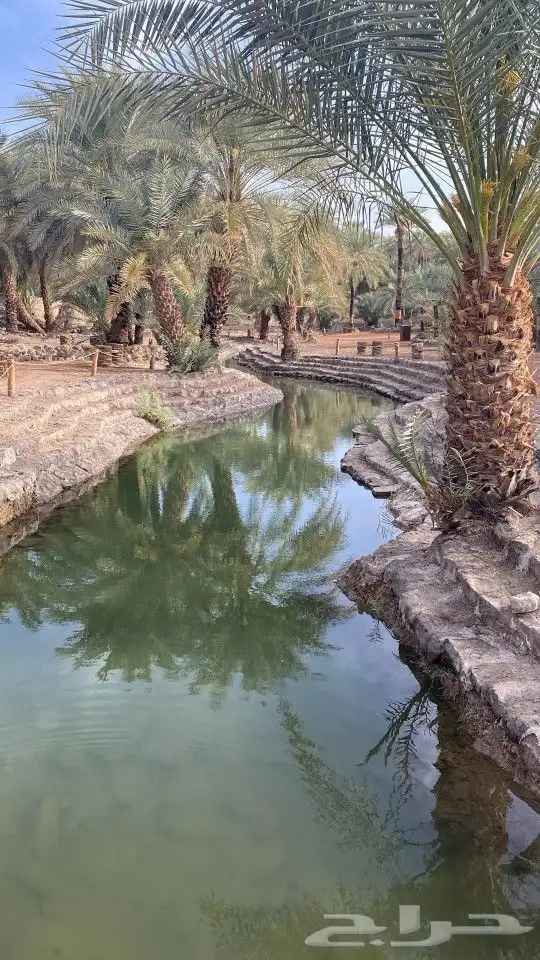 قهوة سعودية مخصوصه 2