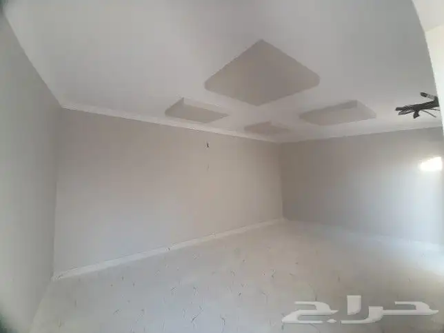 صباغ العزيزة 2