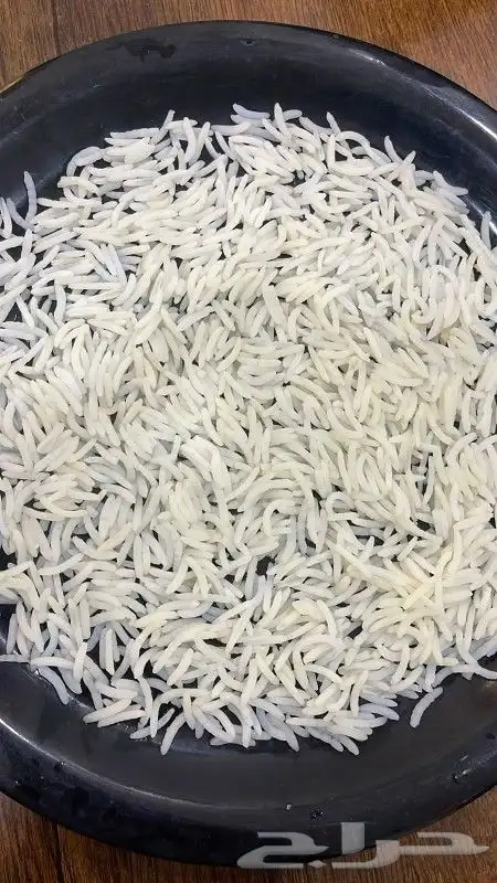 رز جملة 2