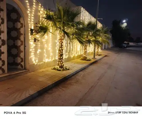 تركيب زينة رمضان نخل 1