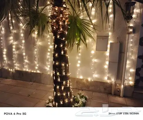 تركيب زينة رمضان نخل 0