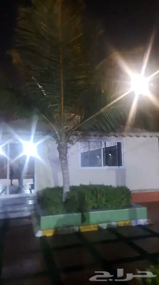 نخيل نارجين جده مكه المكرمه الطايف 2