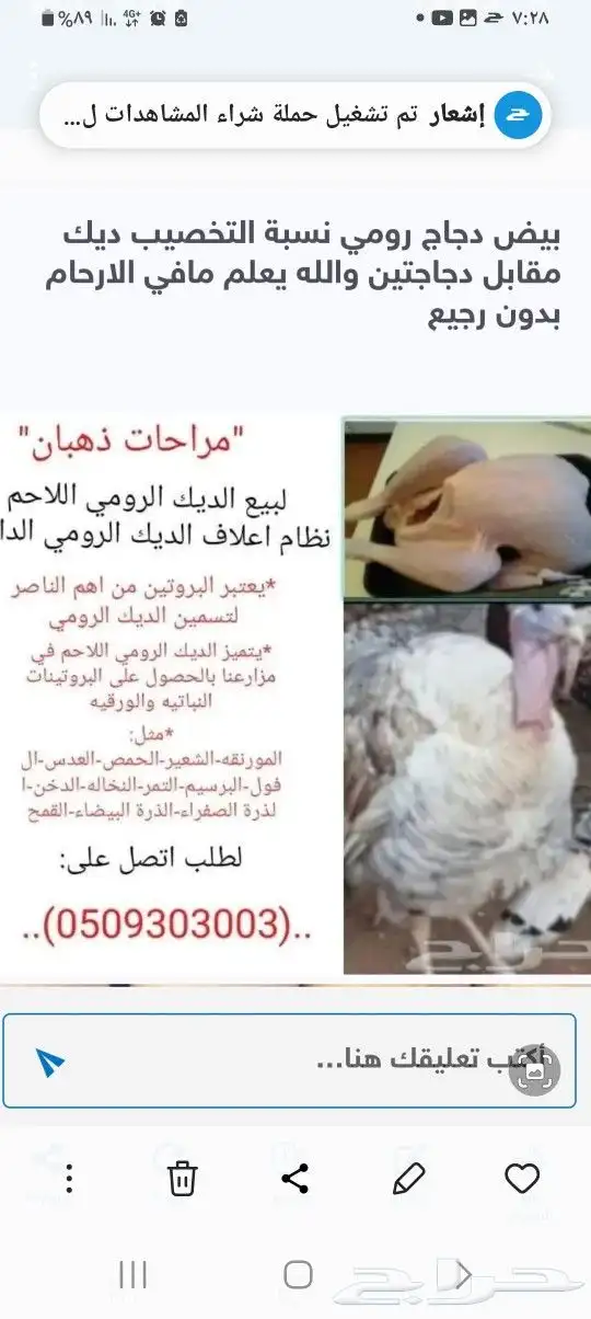 بيض رومي مخصب ان شاء الله والله اعلم 0