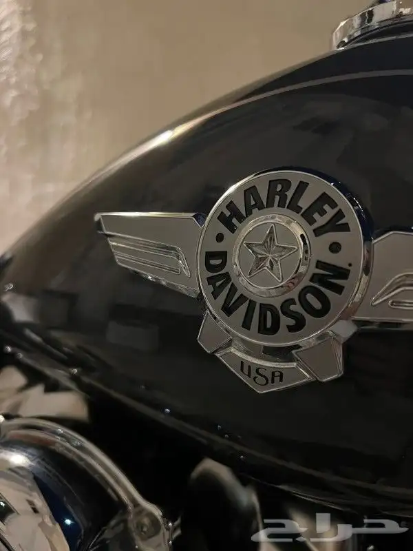 Harley fat boy 107 2018 للبيع هارلي فات بوي 3