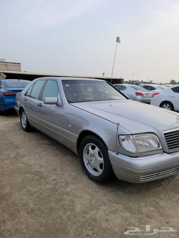 القطيف 2