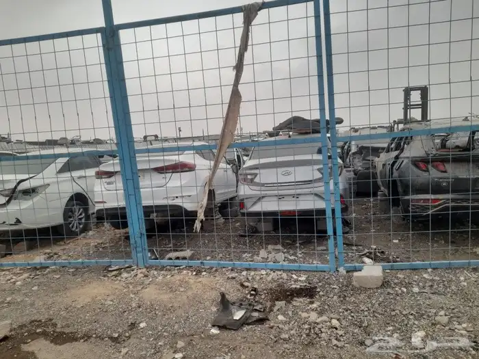 نسعى دائما لإرضاء الزبون  يوجد جميع انواع السيارات هونداي وت 0