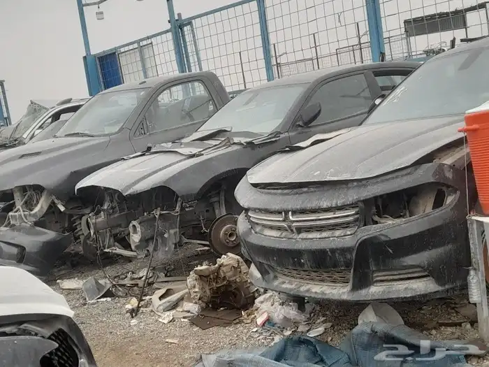نسعى دائما لإرضاء الزبون  يوجد جميع انواع السيارات هونداي وت 3