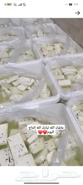 جبنه مقليه عرب 1