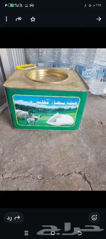 جبنه مقليه عرب 9