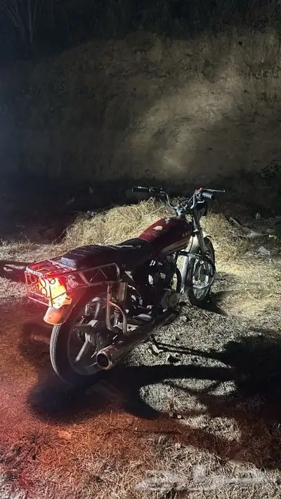 دباب سويدي 1
