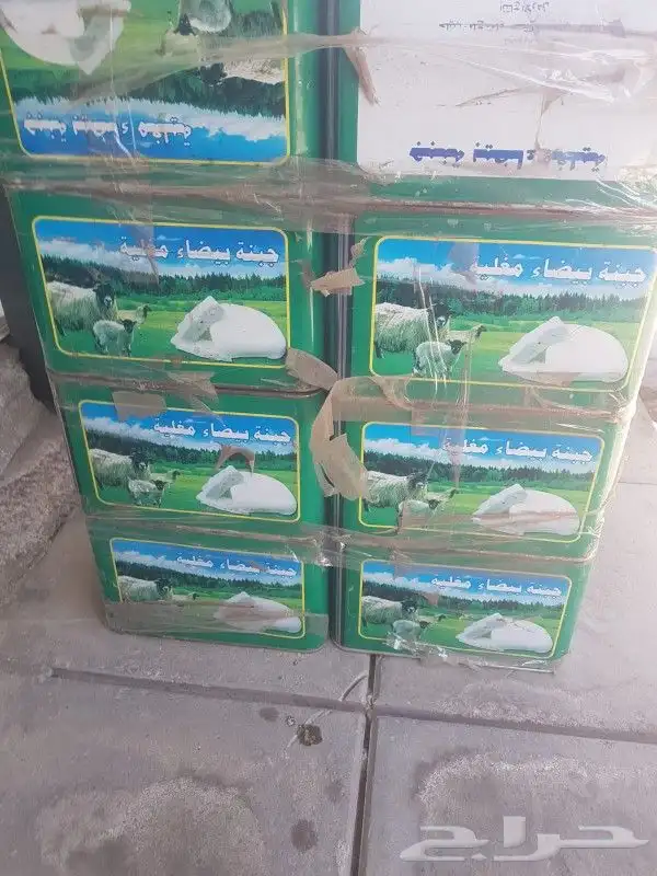 جبنه مقليه عرب 6