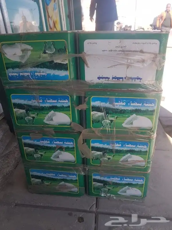 جبنه مقليه عرب 5