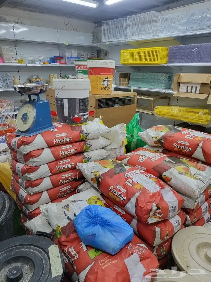 ابراج ومخافق ومحاكر الحمام والدجاج 21