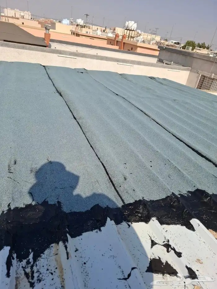 الفيصل العوازل 9