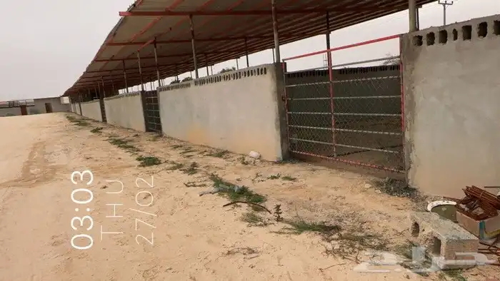 للبيع مزرعة غرب مركز مليجه صك اكتروني 1