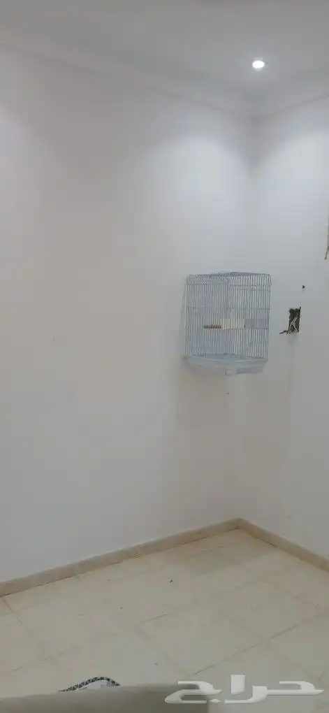 قفص كاسكو اقفاص صغيره  حامل اقفاص 1