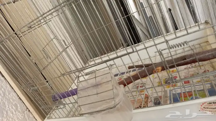 قفص قطط وكلاب وقفص طيور مع استاند دائري 3